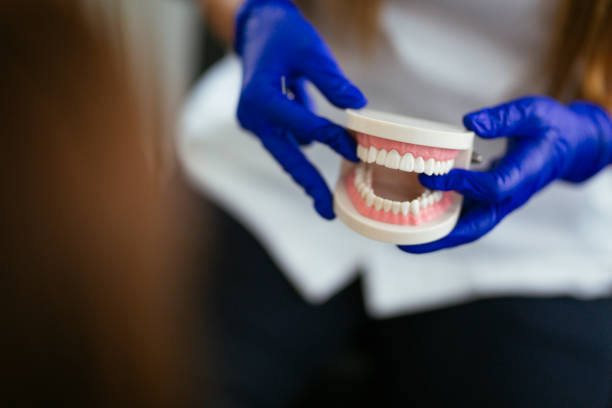 Best Preventive Dentistry  in Homestead, PA